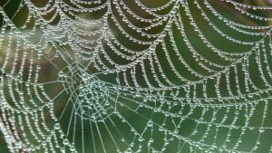 web sitesi yapımı