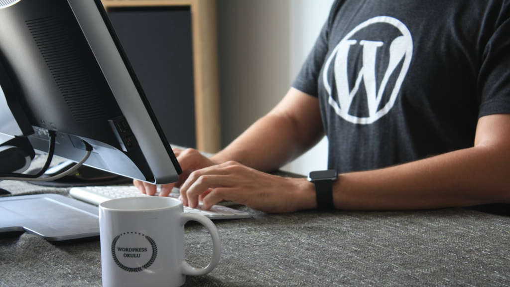 wordpress-yönetim-paneli-588.jpeg