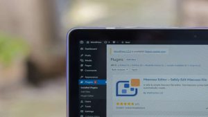 wordpress yönetim paneli